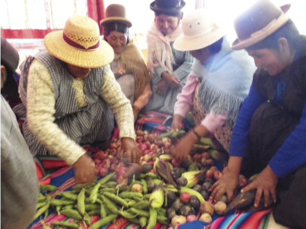 Women from Cusijata unloading their aguayos in our family room